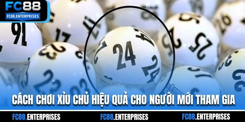 Cách chơi xỉu chủ hiệu quả cho người mới tham gia