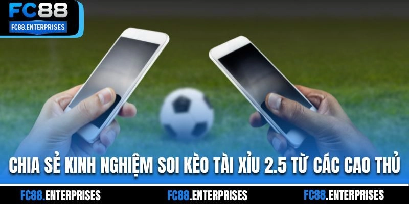 Chia sẻ kinh nghiệm soi kèo tài xỉu 2.5 từ các cao thủ