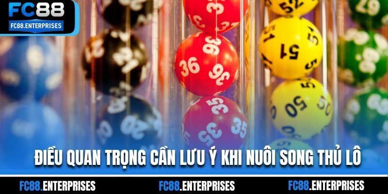 Điều quan trọng cần lưu ý khi nuôi song thủ lô