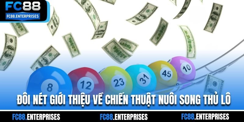 Đôi nét giới thiệu về chiến thuật nuôi song thủ lô