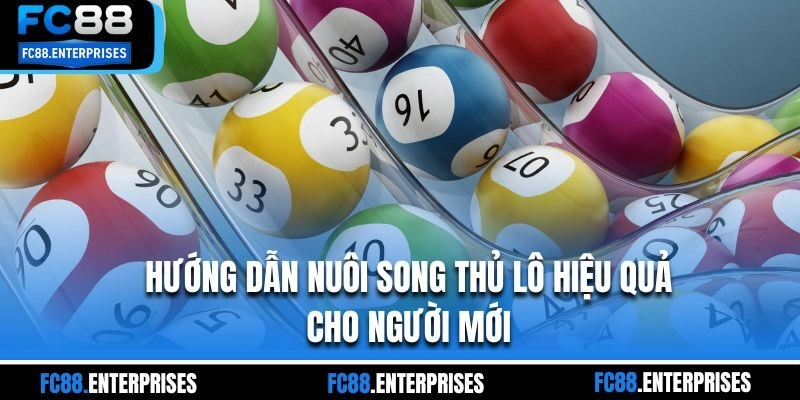 Hướng dẫn nuôi song thủ lô hiệu quả cho người mới