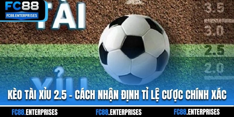 Kèo Tài Xỉu 2.5 – Cách Nhận Định Tỉ Lệ Cược Chính Xác