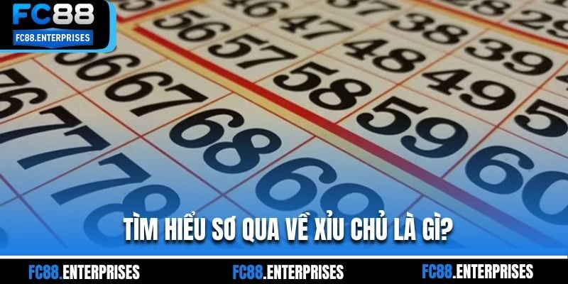 Tìm hiểu sơ qua về xỉu chủ là gì?